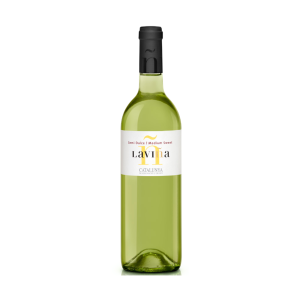 Vallformosa La Vina Blanco (Semi Sweet)