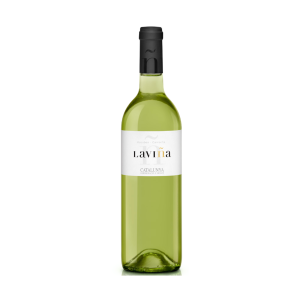 Vallformosa La Vina Blanco