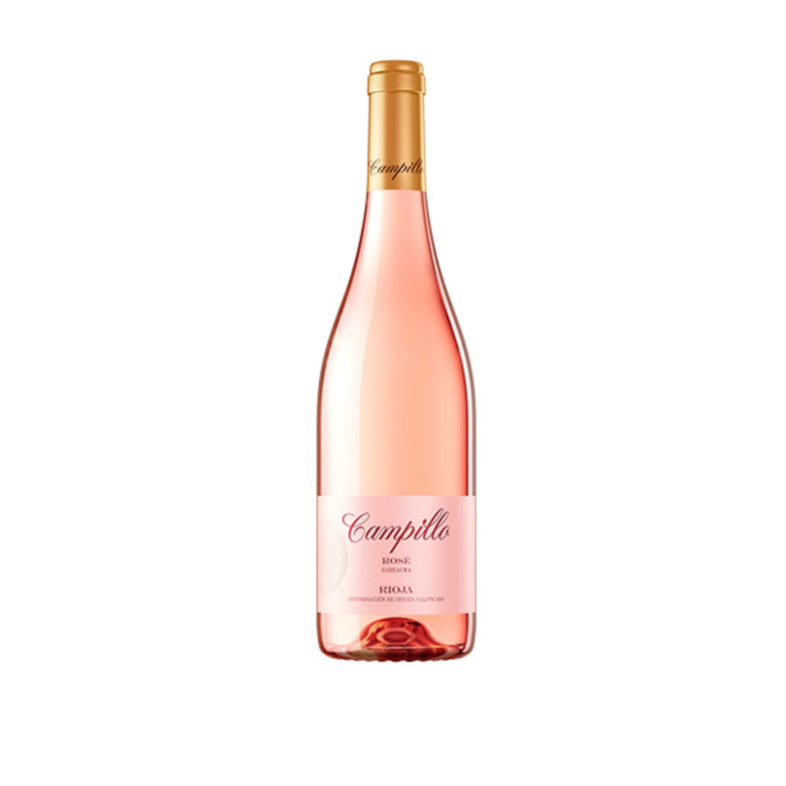 Campillo Rose